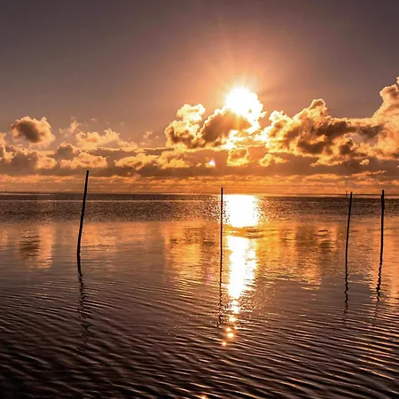 Hébergement de vacances 5 Star In